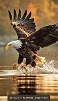 2026 28-Month Planner: Eagles (Diary)