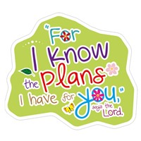 I Know The Plans Vinyl Sticker (Stickers)