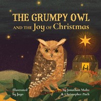 The Grumpy Owl and the Joy of Christmas (Paperback)