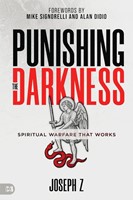 Punishing the Darkness (Paperback)