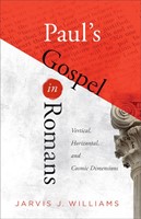 Paul's Gospel in Romans (Paperback)