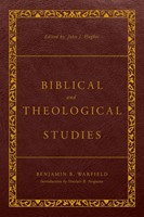 Biblical and Theological Studies (Hard Cover)