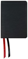 NASB 2020 Large Print Compact Bible, Black (Imitation Leather)