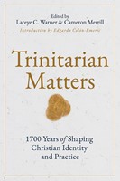 Trinitarian Matters (Paperback)