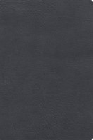 RVR 1960 Biblia De Estudio De Letra Gigante, Negro (Imitation Leather)