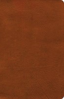 NASB Verse-by-Verse Reference Bible, Burnt Sienna (Imitation Leather)