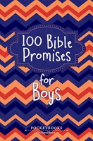 100 Bible Promises for Boys (Imitation Leather)