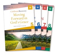Celebrate Recovery: The Journey Continues Volumes 5-8 (Paperback)