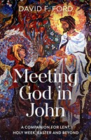 Meeting God in John (Paperback)