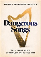 Dangerous Songs (Hardback)