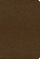 ESV Applying the Gospel Study Bible for Men, Brown (Imitation Leather)