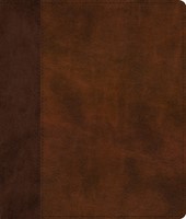 ESV Journaling Bible, Red Letter, Brown/Tan (Imitation Leather)