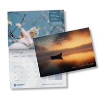DPM Wall Calendar 2025 (Calendar)