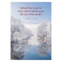 Greetings Cards: 'Behold The Lamb…' Jn. 1.29 (Cards)