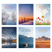 Greetings Cards: S Series (Mixed Pack Of 6) (Cards)