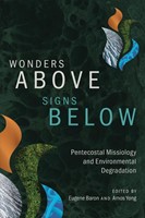 Wonders Above, Signs Below (Paperback)