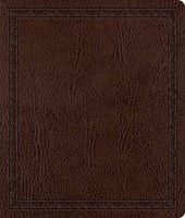 ESV Journaling Bible, Bonded Leather, Mocha (Bonded Leather)
