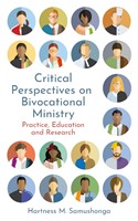 Critical Perspectives on Bivocational Ministry (Paperback)