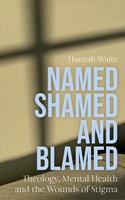 Named, Shamed and Blamed (Paperback)