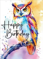 Happy Birthday Owl Card (pack of 6) (Cards)