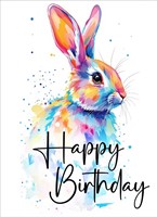 Happy Birthday Rabbit Card (pack of 6) (Cards)