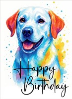 Happy Birthday Dog Card (pack of 6) (Cards)