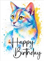 Happy Birthday Cat Card (pack of 6) (Cards)