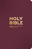 NIV Pocket Mulberry Bible with Gold Zip (Imitation Leather)