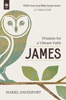 James (Paperback)