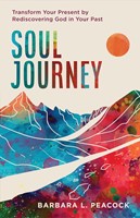 Soul Journey (Paperback)