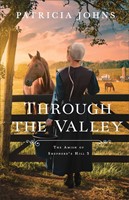 Through the Valley (Paperback)