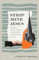 Strip Mine Jesus (Paperback)