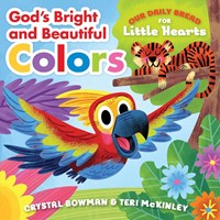 God's Bright and Beautiful Colors (Board Book)