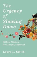 The Urgency of Slowing Down (Paperback)