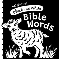 Baby's First Black and White Bible Words (Board Book)