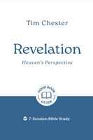 Revelation: Heaven's Perspective (Paperback)