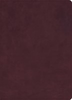 KJV Single-Column Wide-Margin Bible, Marbled Burgundy (Genuine Leather)