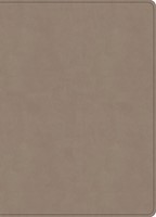 KJV Single-Column Wide-Margin Bible, Sand Leathertouch (Imitation Leather)