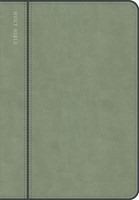 CSB Personal Size Giant Print Bible, Digital Study Ed., Sage (Imitation Leather)