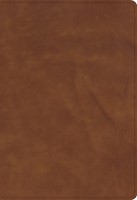 CSB Thinline Bible, Optimal Type, Marbled Chestnut Calfskin (Genuine Leather)