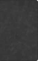 CSB Thinline Bible, Optimal Type, Marbled Slate Calfskin (Genuine Leather)