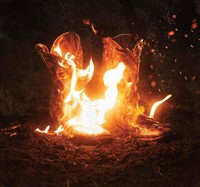 Walk Through Fire CD (CD-Audio)