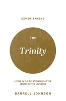 Experiencing the Trinity (Paperback)