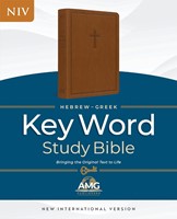Hebrew-Greek Key Word Study Bible, Brown, Indexed (Imitation Leather)