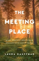 The Meeting Place (Paperback)