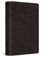ESV Large Print Bible, Trutone, Black (Imitation Leather)
