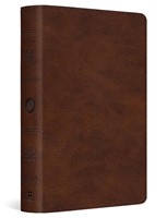 ESV Large Print Bible, Trutone, Deep Brown (Imitation Leather)