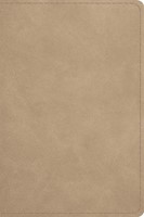 ESV Beholding Christ Bible (Imitation Leather)