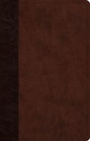 ESV Large Print Thinline Reference Bible, Red Letter (Imitation Leather)
