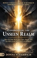Confronting the Unseen Realm (Paperback)